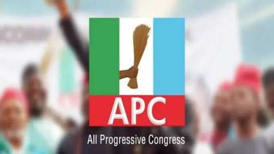 "Karya Ne" APC Ta Fusata, Ta Maida Zazzafan Martani Kan Rahoton Kaiwa Atiku Hari a Maiduguri