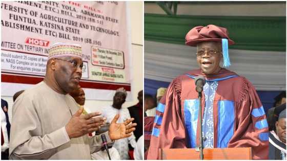 2023 presidency: Heartbreak for Tinubu as Atiku reportedly engages APC governors in talks