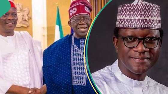 Kwankwaso ya shirya haɗewa da Shugaba Tinubu da APC, Ɗan Majalisar NNPP ya yi bayani