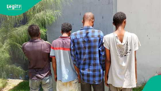 Adamawa police crackdown on sexual abuse of minors, several suspects arrested