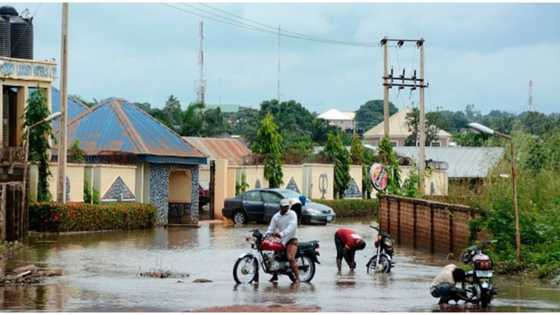 Nigerian man stunned in hotel after being given bucket by receptionist to fetch water downstairs, shares video