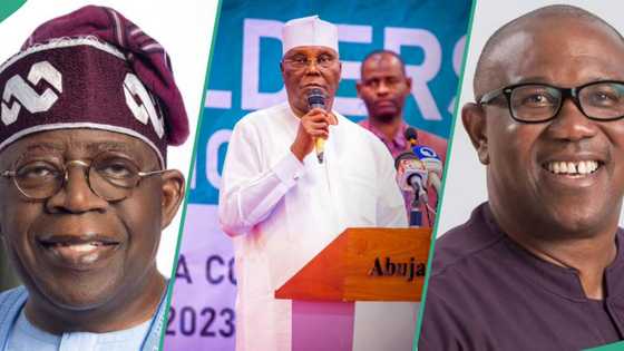 Atiku, Obi vs Tinubu: 3 things that may happen at Supreme Court