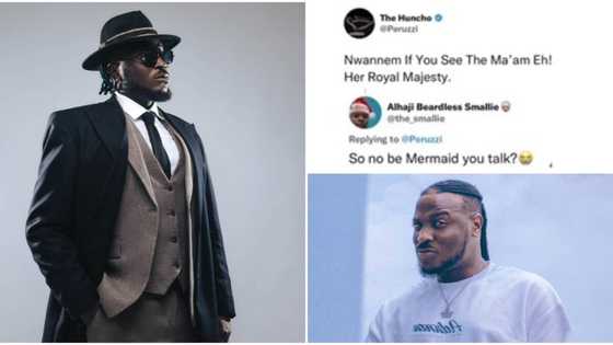 "Song wey we sabi pass u": Drama as fans argue with Peruzzi over his lyrics after he shared correct version