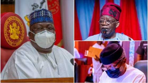 2023: Lawan Drops Presidential Bid For Tinubu, Osinbajo? APC Chieftain Releases Fresh Videos