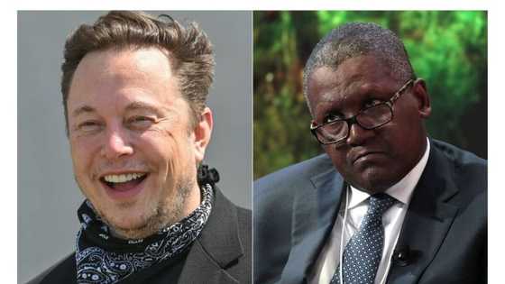In 2022, Elon Musk lost three times the Net worth of Dangote, Africa’s richest man