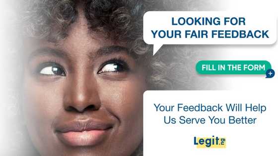Legit.ng 2023 Wrapped! Share your experience with us