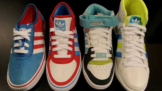 Adidas, Puma family feud to be turned into TV series