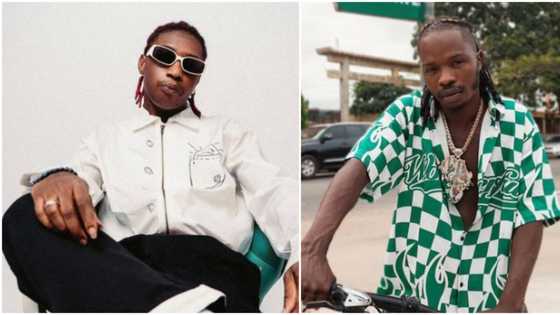 "That boy was doing very fine without you": Bella Shmurda calls out Naira Marley over Mohbad saga