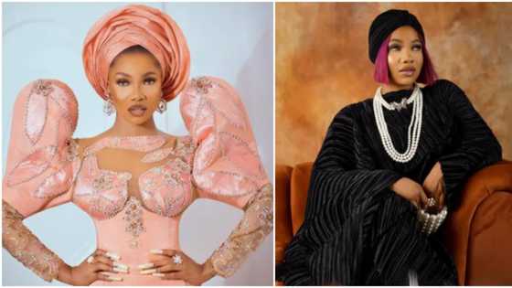 We don't even know our LG chairmen or senators: BBNaija's Tacha rants about Nigerians' approach to problems