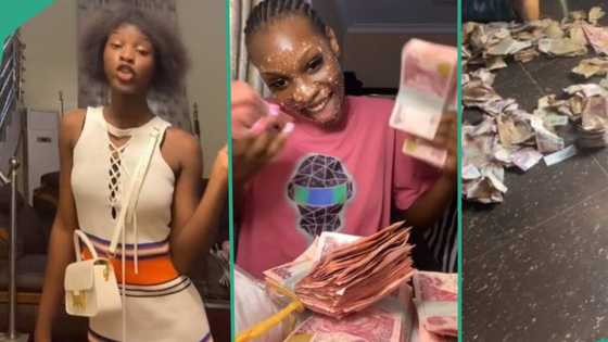 "You no need bf?" Reactions as fine chief's daughter flaunts massive cash they realised after party