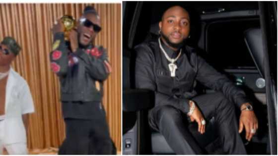 Make amends with Davido, he has been reaching out publicly: Influencer tells Burna Boy, Wizkid, fans react