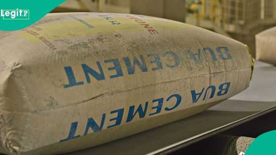 FLASHBACK: How BUA once crashed cement price to N3,500, what changed and current rate emerge