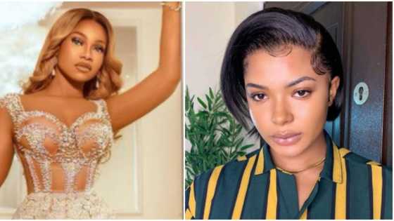 Welcome back to the streets: BBN's Tacha reacts after Liquorose revealed what went down with Emmanuel in Dubai