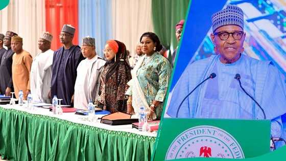 APC NEC meeting: Buhari's aide opens up on why former president shunned party's leaders
