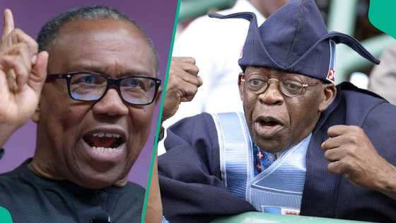 ‘One of the hungriest populations in the world,' Peter Obi lashes out at Tinubu in new message