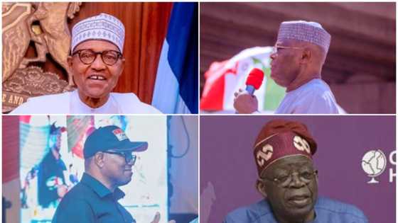 "Why Tinubu defeated Atiku, Obi, others": Buhari opens up