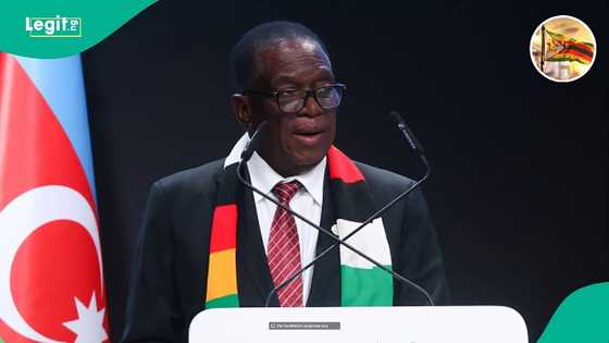 Zimbabwe bans 9 goods from being exported or imported into the country, releases list