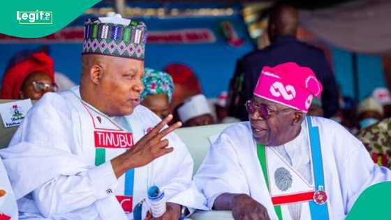 Tinubu/Shettima: Matsayar Kiristocin Arewa kan sake daukar Kashim a mataimaki