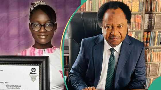 "She solved 34 math problems in 172 seconds": Shehu Sani praises young girl from Southern Kaduna