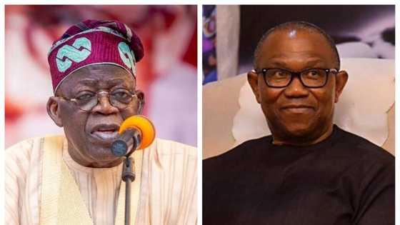 Mukarrabin Jonathan Ya Fadi Yaudarar da Tinubu ya yi Amfani da Ita Wajen Doke Atiku