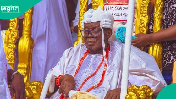 Land grabbing: Olubadan takes action against 2 chiefs as details emerge