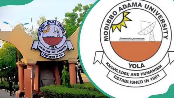 Modibbo Adama University courses and admission requirements (MAUTECH)