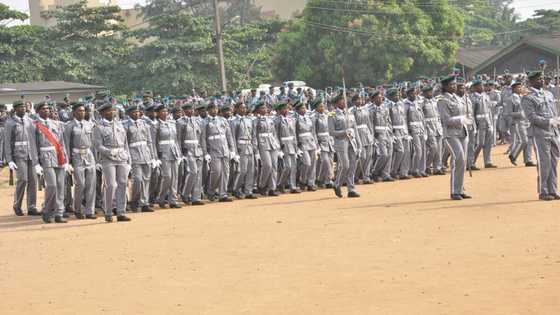 Customs Recruitment Exercise: Only 4 candidates per LG would be employed, Reps insist