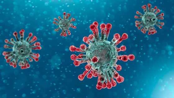 Adadin masu cutar Coronavirus a Najeriya na hauhawa, ta shiga jahohi 20