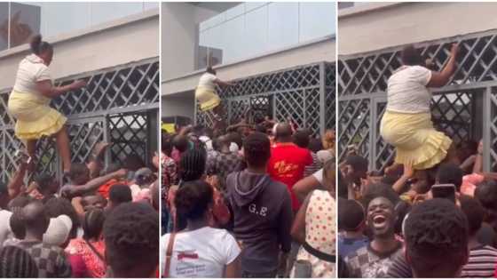 "Wahala": Video shows moment Nigerian woman climbed huge gate to enter her bank, shocks people