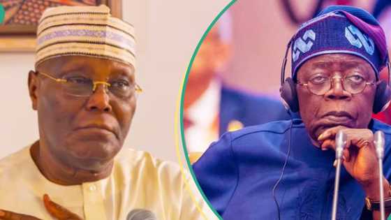 Cancelled Pardon: Atiku accuses Tinubu's govt of acting before thinking