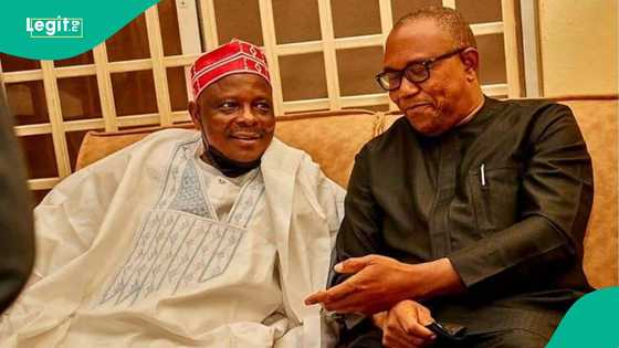 New details emerge on 2027 alliance plan between Peter Obi, Kwankwaso in ADC