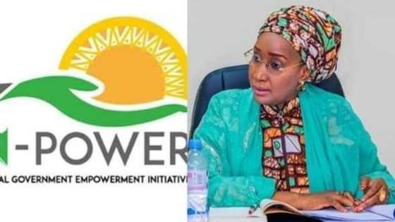 N-Power Batch C: Buhari ya bada umurnin a kara diban mutum milyan 1, Minista Sadiya