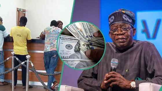 CBN, FG deny reported plan to convert domiciliary accounts holdings to naira