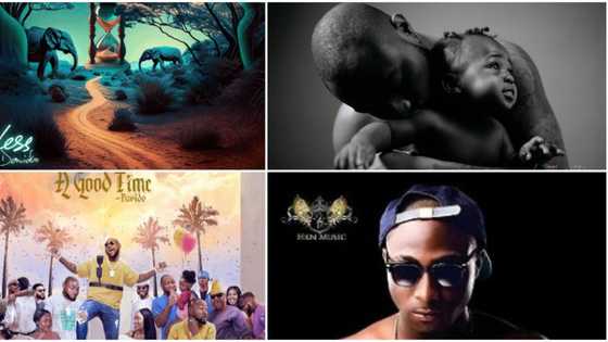 Fans pick Davido’s Timeless as their favourite album against A Better Time and A Good Time