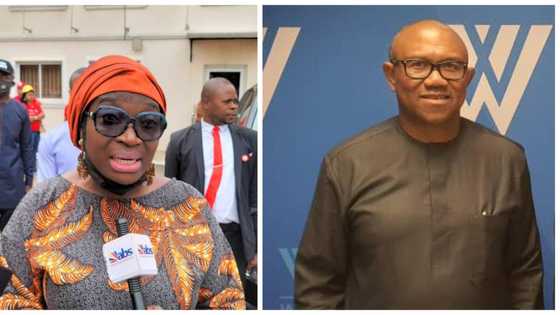 Political strength: Senator Uche Ekwunife rejects comparison with Peter Obi