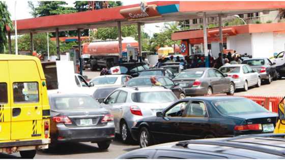 Panic as petrol shortage hits top southwest state, queues emerge in filling stations
