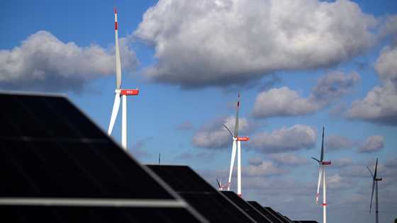 Eyeing China and US, EU hopes clean tech boost will spark growth