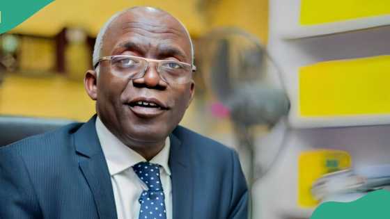 LG autonomy: Falana interprets Supreme Court judgement, sends message to Nigerian governors