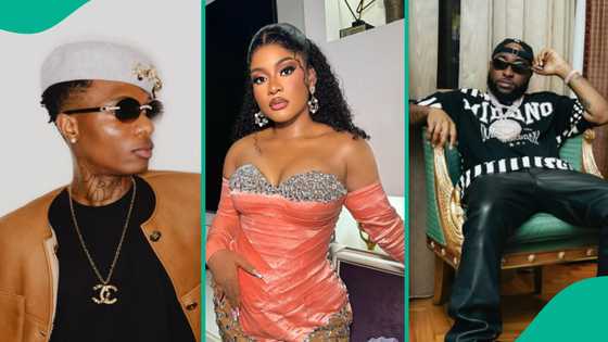 BBNaija Phyna sides with Wizkid amid Davido's beef, fans react: “Bcus OBO said he doesn’t know her”