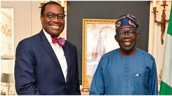 AfDB launches economic support programme to give Nigeria over $6 billion in five years