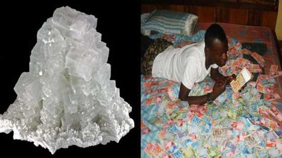 Abin mamaki: Dan damfara ya sayarwa da wani bature buhun gishiri naira miliyan 27 a matsayin buhun lu'u-lu'u