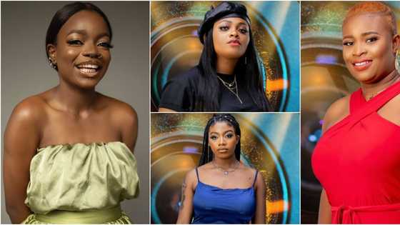 BBNaija 2021: Meet Arin with 17 piercings, Princess who has crush on Bukola Saraki, other female contestants