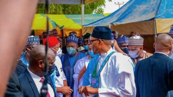 Fadar shugaban kasa ta bayyana dalilin da yasa aka ga Buhari ba takunkumi a fuskarsa a Daura