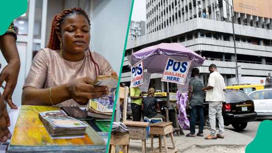 Nigerian state set to train 50,000 youths in 2026 to reduce unemployment