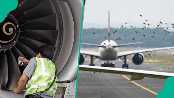Stakeholders finally identify reasons behind flight delays, cancellations as airlines suffer N3 billion loss