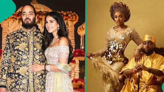 "How much was Davido's wedding?" Man in awe over billions budgeted for Ambani's son's lavish event