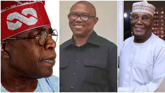 Obi, Atiku vs Tinubu: Former presidential campaign director predicts who will win at tribunal