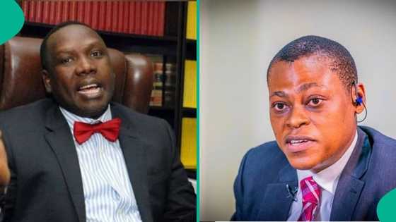 Bwala vs Rufai: Video shows moment Tinubu's aide, Arise journalist tackle each other on TV