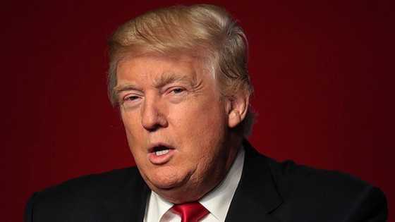 Trump ya dauko hayar manyan lauyoyi da za su hana a tsige shi
