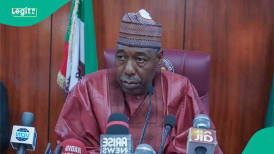 "Sau 3 kacal na ga ƴaƴana," Zulum ya tuno abin da ya faru da shi bayan zaben 2019